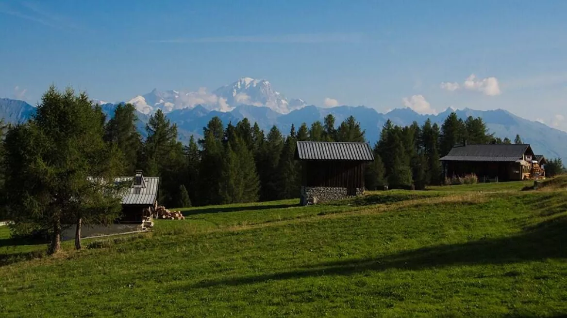 Natuur en ontdekking I Het gebruik van bergplanten_Montchavin-les-Coches