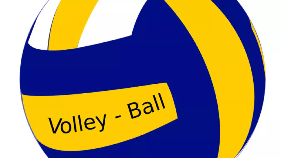 Volleybal