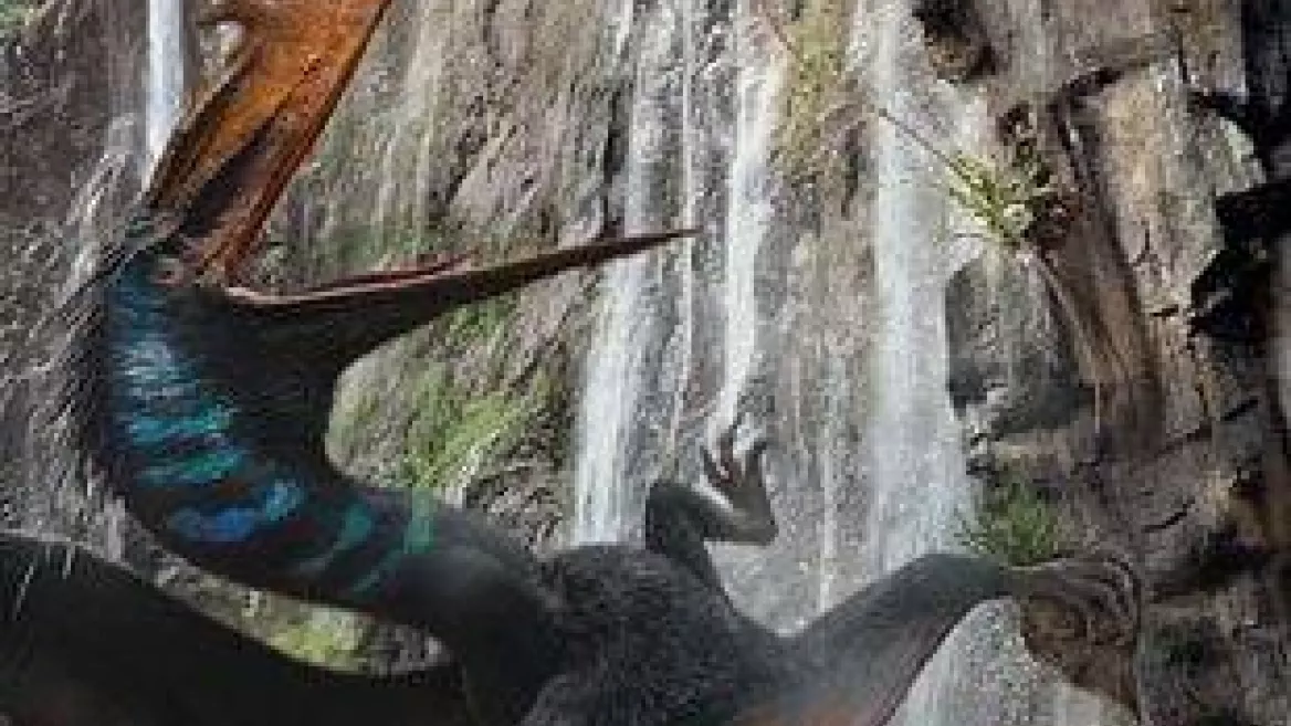 Bioscoop | Jurassic World: Renaissance_La Plagne