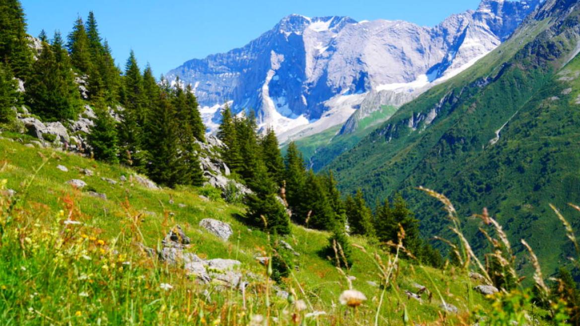 Wandelroute : De Alpage van Froide Fontaine