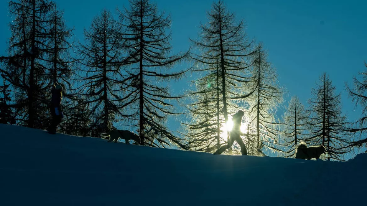 Scandinavische ervaring!_Montchavin-les-Coches