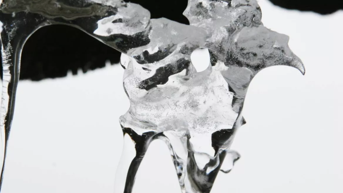 Exposition "De Glace" de Jacques Richard_Champagny-en-Vanoise