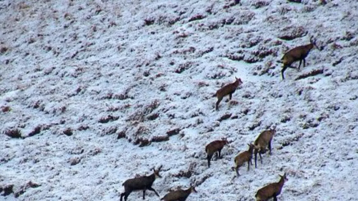 Sneeuwschoenuitstapje: verhalen uit een gletsjervallei_Champagny-en-Vanoise
