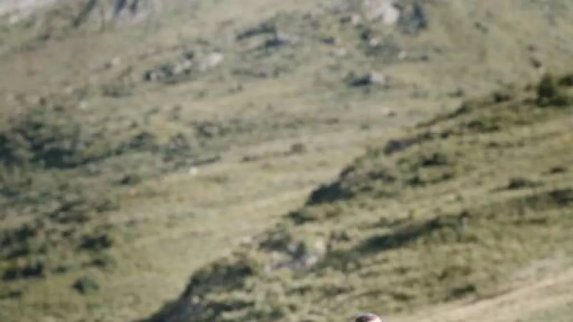 Rando'Piano avec Alexandre Guhéry_Plagne-Montalbert