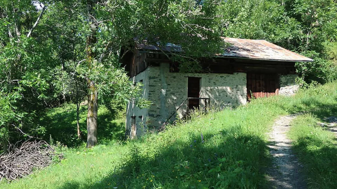 Trailrunparcoursen Montalbert