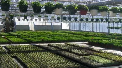 fleurijardin vallei van la Plagne