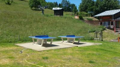 Table de ping pong