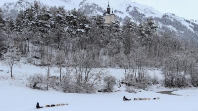 Baptême en traîneau à chiens