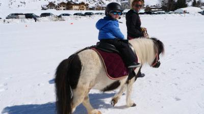 Wandelingen en initiaties: paarden & pony's - Le P'tit Ranch
