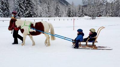 Poney luge P'tit Ranch