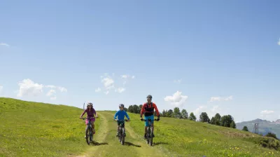 Elektrische mountainbike