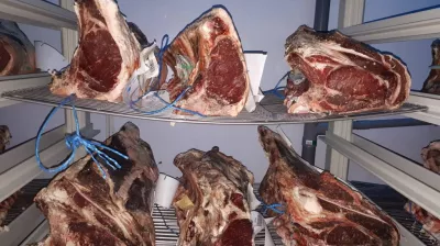 rijpingsruimte voor vlees