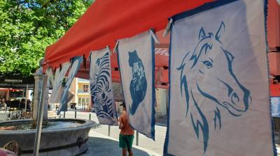 Animation Grand'Rue_Aime-la-Plagne