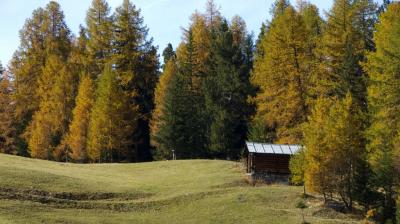 Wandelroute voor gezinnen: Chemin du Bois de la Follie Plateau de Plan Bois
