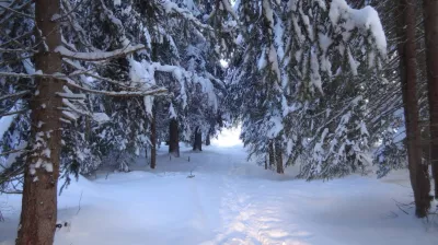 Sneeuwschoenwandeling Comba Damon