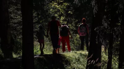 Route Bois des Fornettes