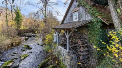 Ik hou van de zomer in La Côte d'Aime | Bezoek aan de watermolen van Pierrolaz_La Plagne Tarentaise