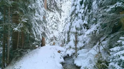 Wandeling op sneeuwschoenen - Le Grand Bief_Aime-la-Plagne