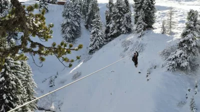 Trio reuze tokkelbanen