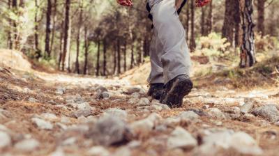 Wandeling in Esserts Wandeling langs de Chemin des Essertd_Aime-la-Plagne