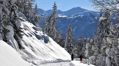 Balade à raquettes - Boucle du Bonpas_La Plagne Tarentaise