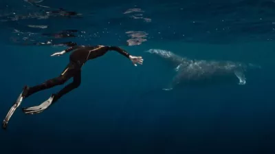 Film | “De walvis en de muzikant”_Champagny-en-Vanoise
