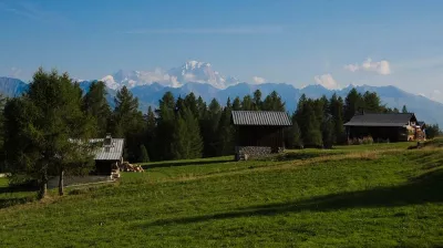 Natuur en ontdekking I Het gebruik van bergplanten_Montchavin-les-Coches