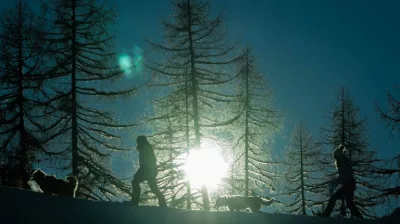 De avond van de musher!_Montchavin-les-Coches