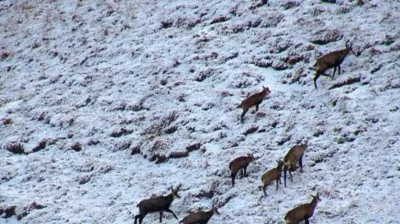 Sneeuwschoenuitstapje: verhalen uit een gletsjervallei_Champagny-en-Vanoise