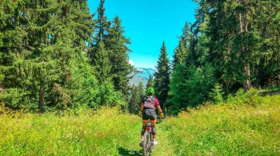 Itinéraire en pleine nature Itinéraire VTT Bois Croizelin