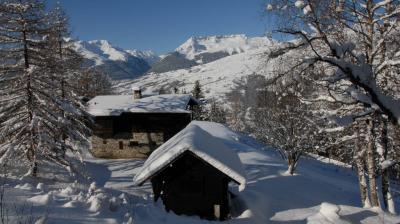 Itinéraire raquette "Montchavin-Les Coches par Praz Salvard"