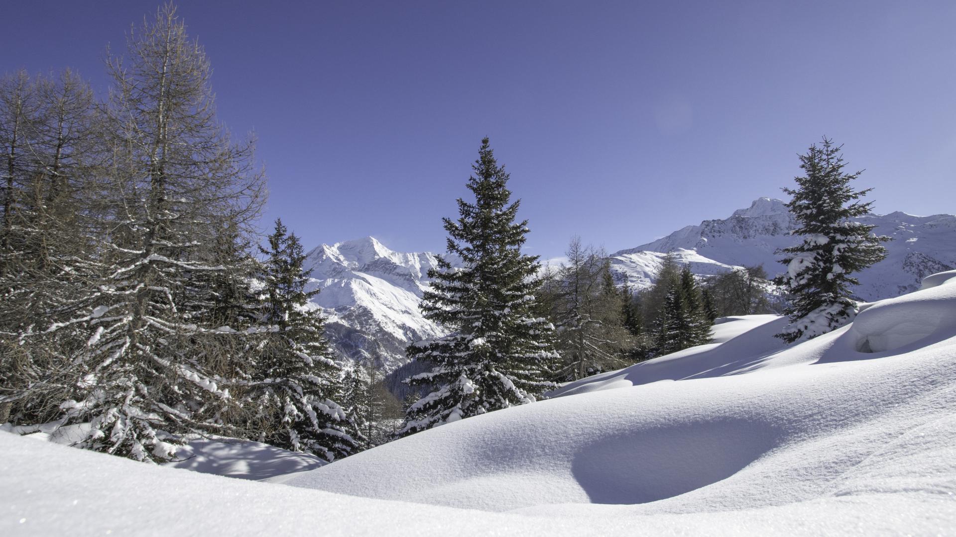 La nature est apaisante ! 