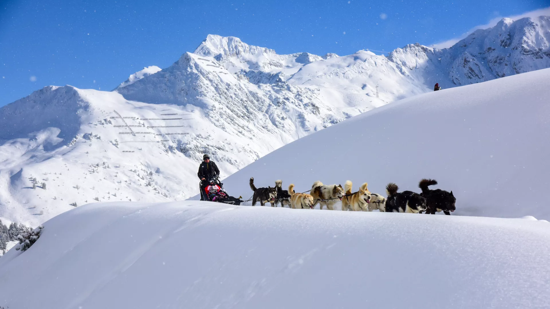 Balade en chiens de traineaux à La Plagne