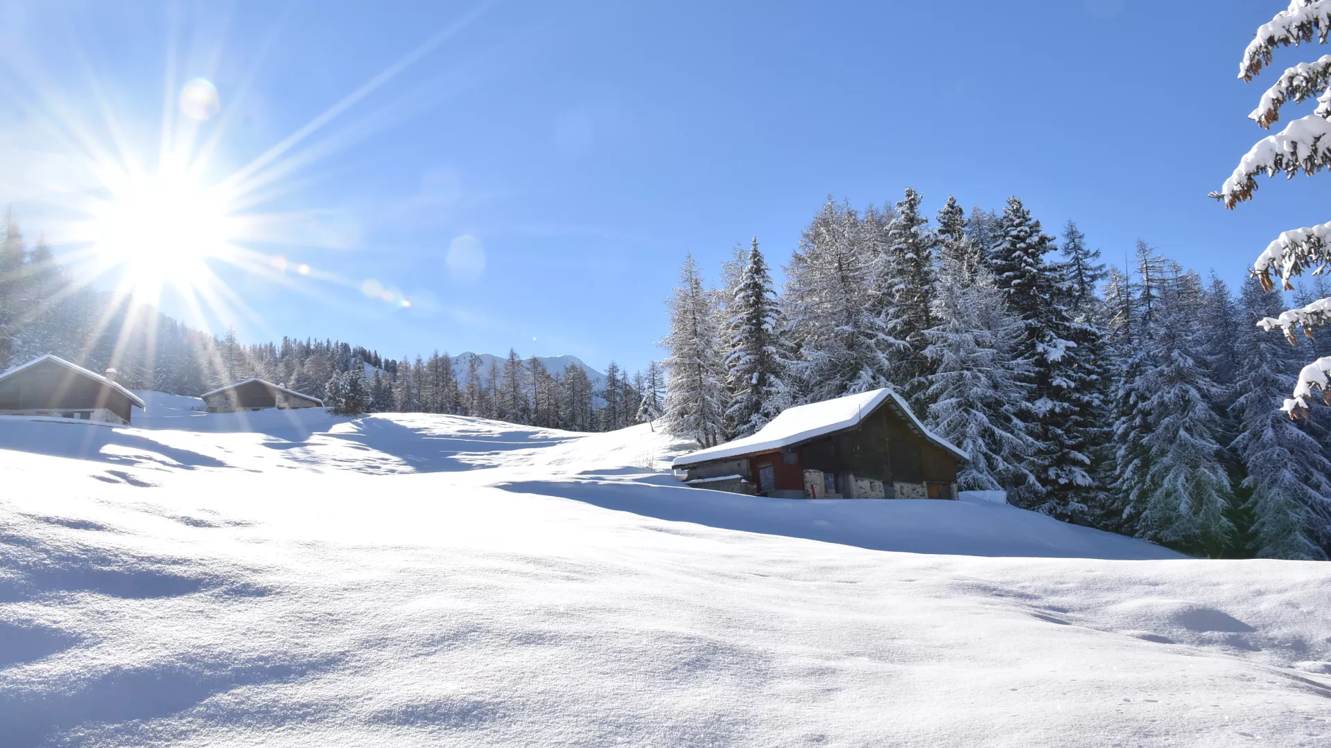 Les chalets de Plan Bois