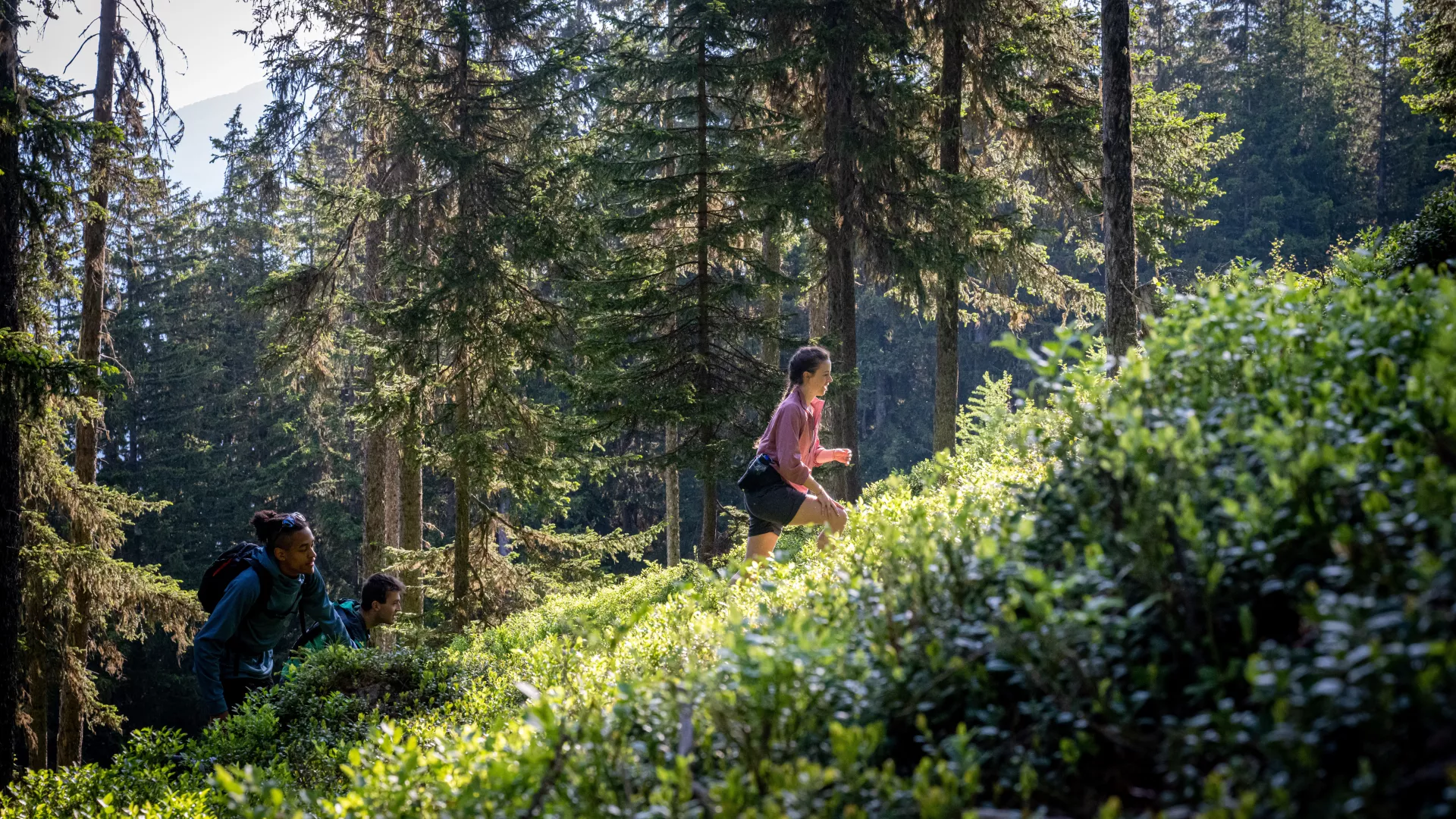 Randonnée en forêt