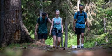 Balade_en_foret-JNJ_Photo Balade_en_foret-JNJ_Photo