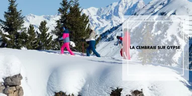 La cembraie sur gypse-Elina-Sirparanta La cembraie sur gypse-Elina-Sirparanta