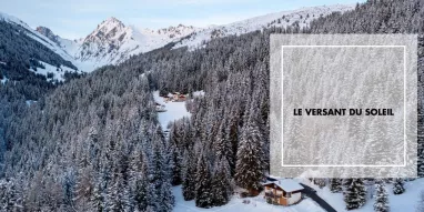 Le Versant du soleil-chalet-bresson Le Versant du soleil-chalet-bresson