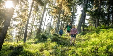 MAG-Balade_en_foret-JNJ_Photo-25350 MAG-Balade_en_foret-JNJ_Photo-25350