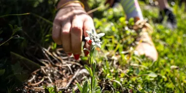 MAG-Balade_entre_amis-JNJ_Photo-1 MAG-Balade_entre_amis-JNJ_Photo-1