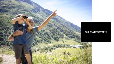 Marmottes