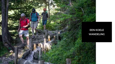 Bief Bovet Bief Bovet