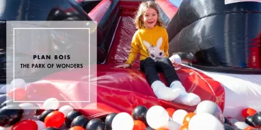 en-mag-sublicimes-plan-bois (2)