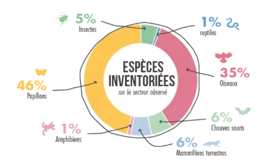 Espèces inventoriées La Plagne